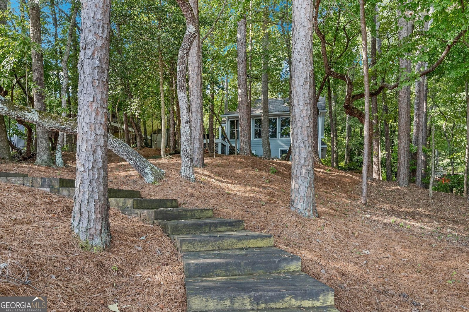 455 Chase Landing Road Martin - 17