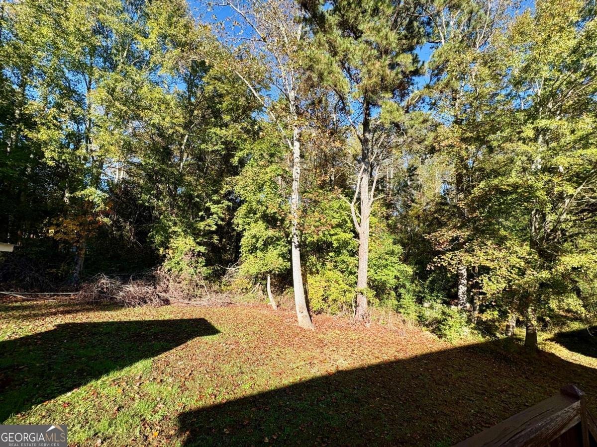 208 Maple Street Dawsonville - 16