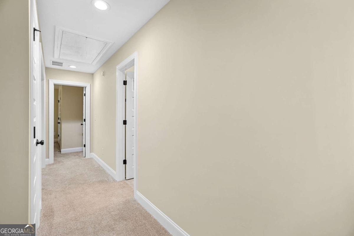 294 Conner Lane Williamson - 24