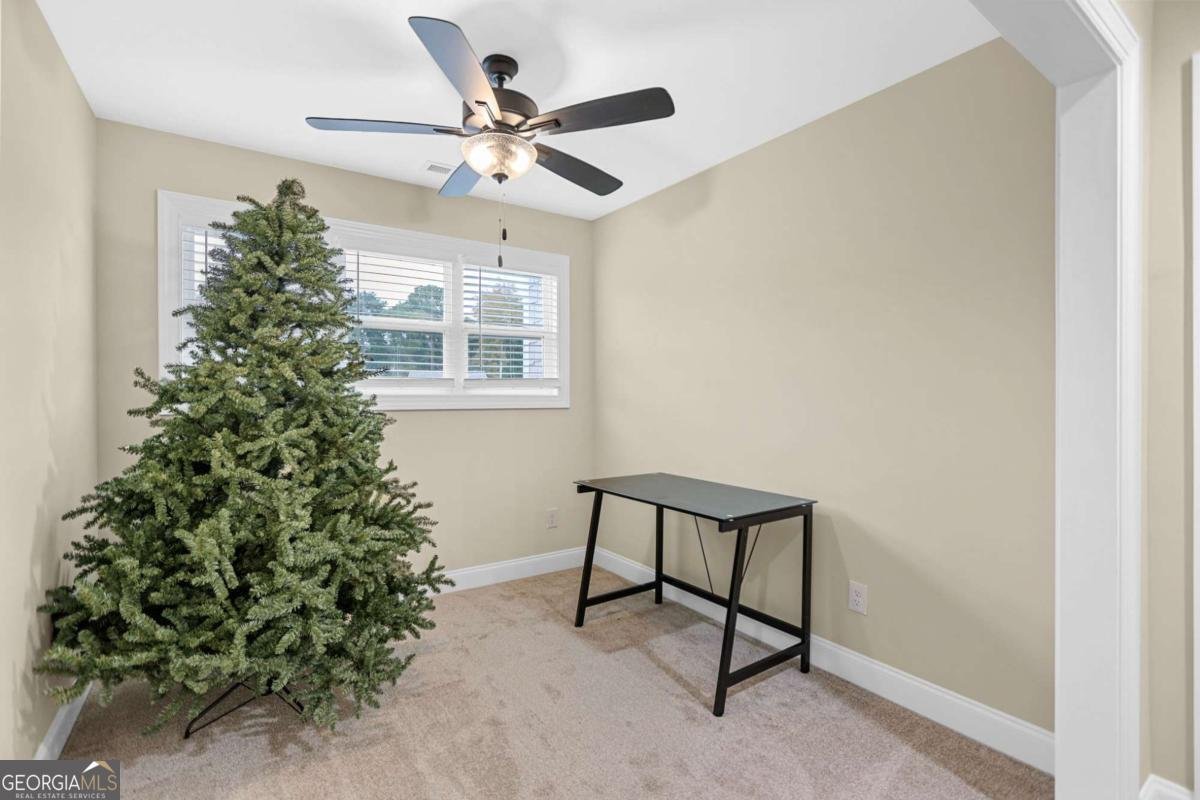 294 Conner Lane Williamson - 28