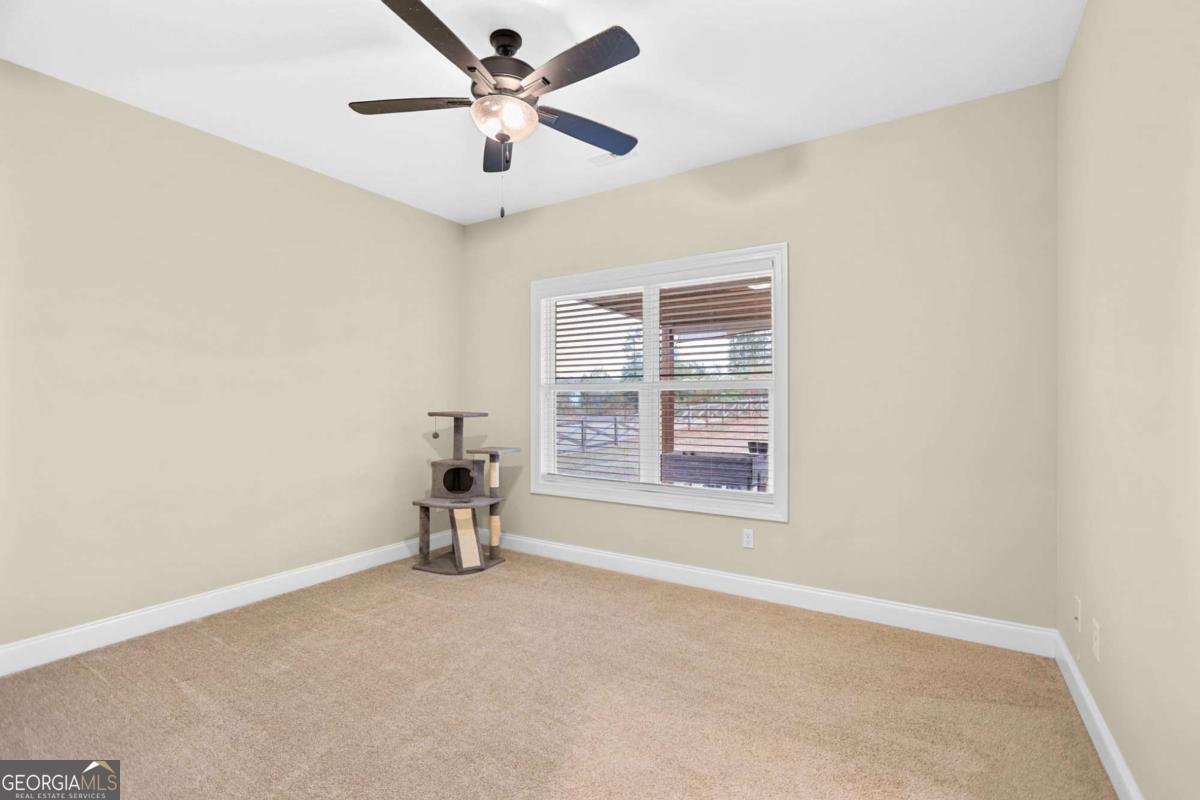 294 Conner Lane Williamson - 44