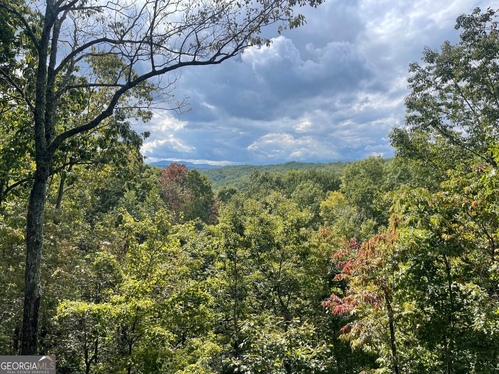 24 Rabbit Ridge Road Morganton - 5