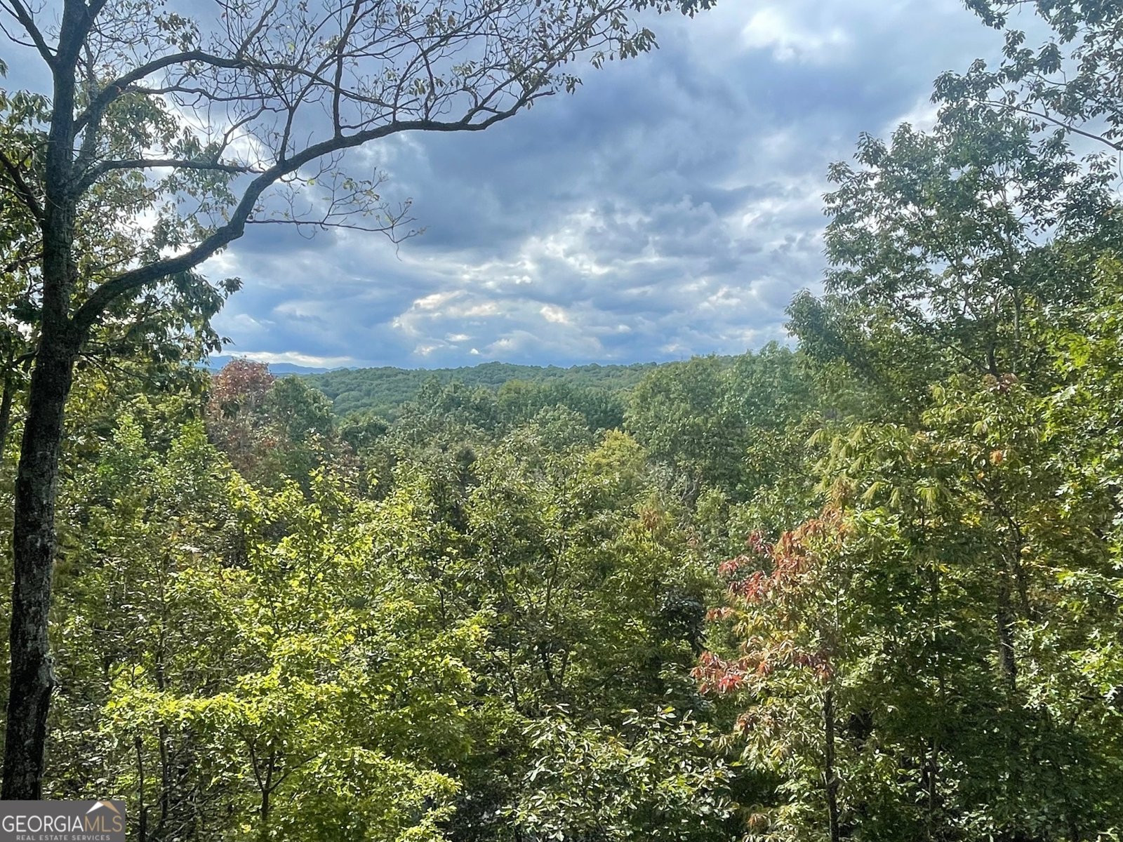 24 Rabbit Ridge Road Morganton - 74