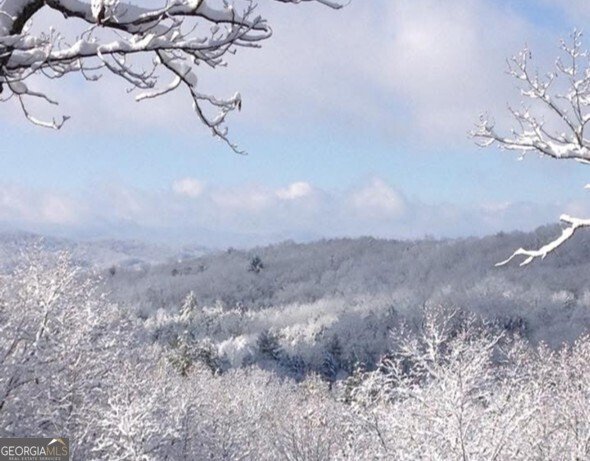 24 Rabbit Ridge Road Morganton - 80