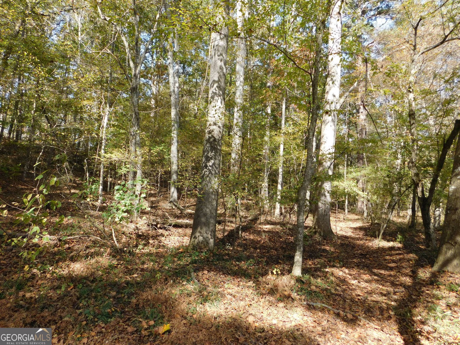 2614 Carolina Court Bethlehem - 37