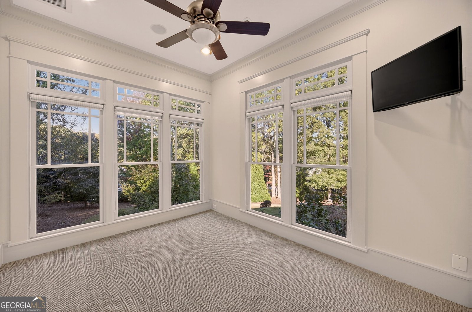 114 Trinity Hollow Drive Canton - 38