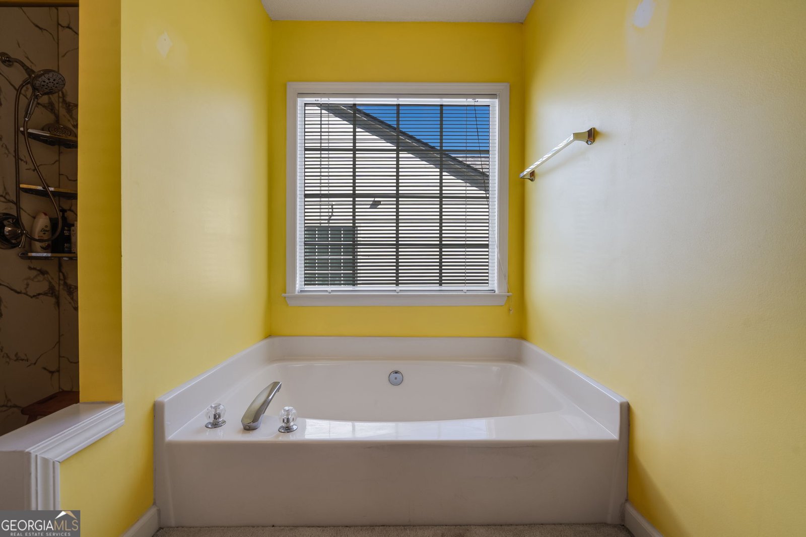 581 Ashland Parkway Woodstock - 13