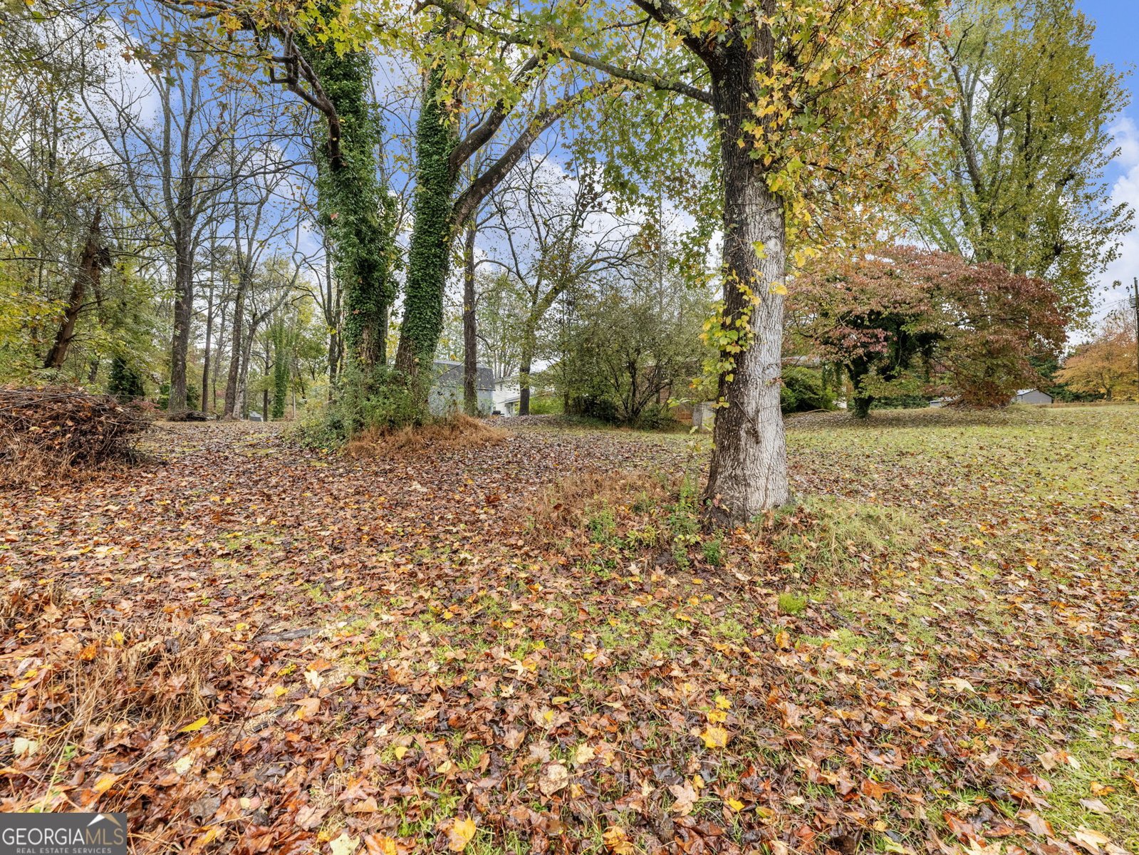 16 Welch Circle Dahlonega - 31