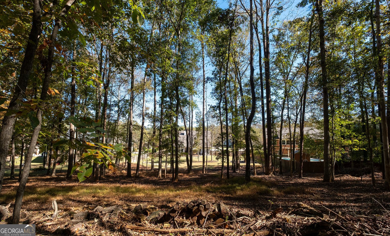 369 Clarksboro Drive Athens - 42