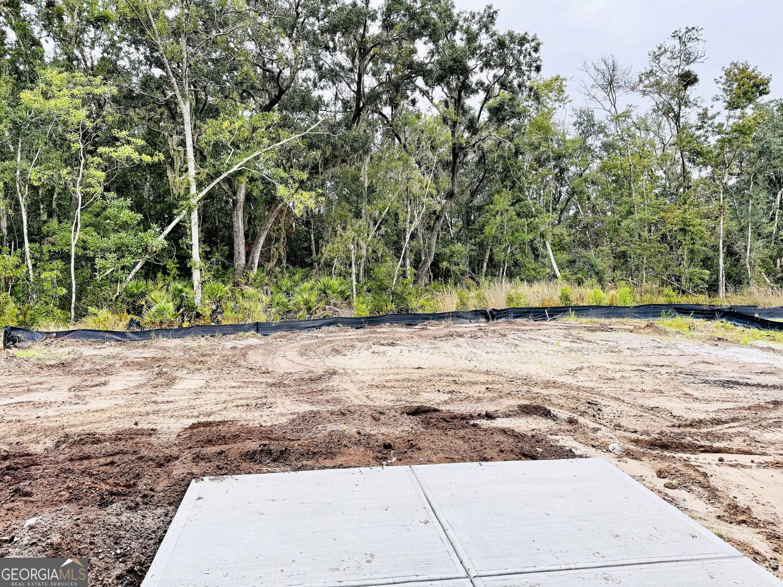 115 Tidal Marsh Way St. Marys - 2