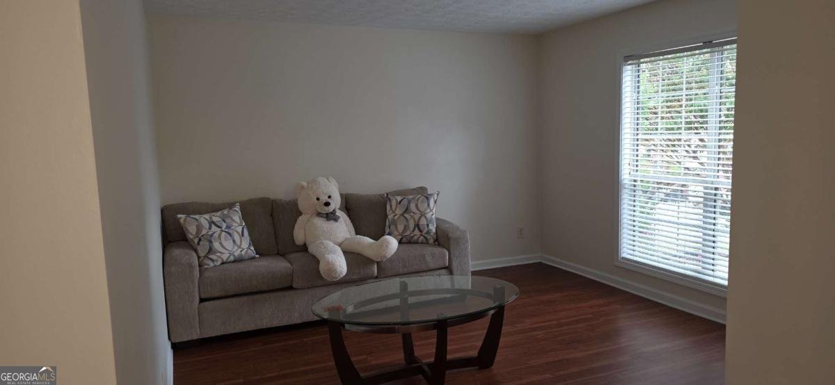 347 Canterbury Place Drive Suwanee - 16