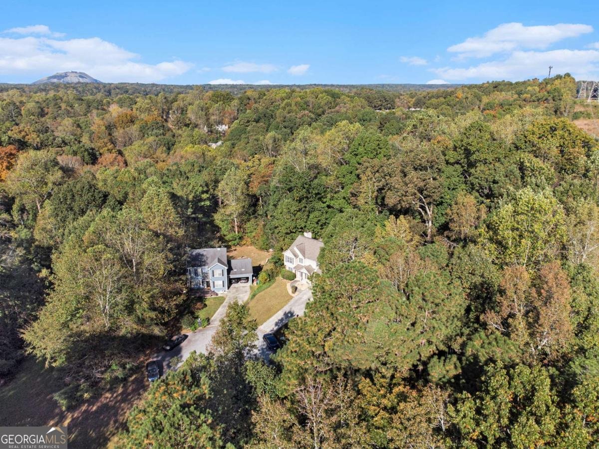 4545 Forrest Bend Court Snellville - 35