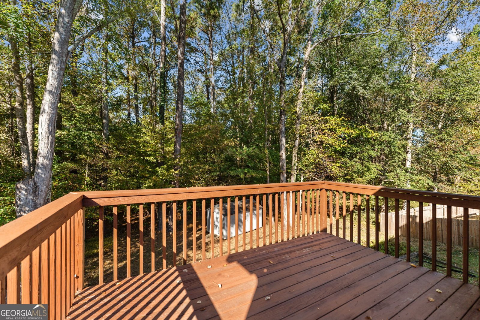 4157 McEver Park Drive Acworth - 22