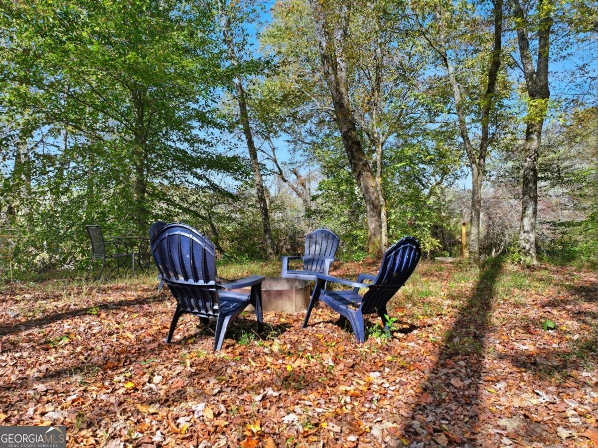 444 Weaver Road Ellijay - 25