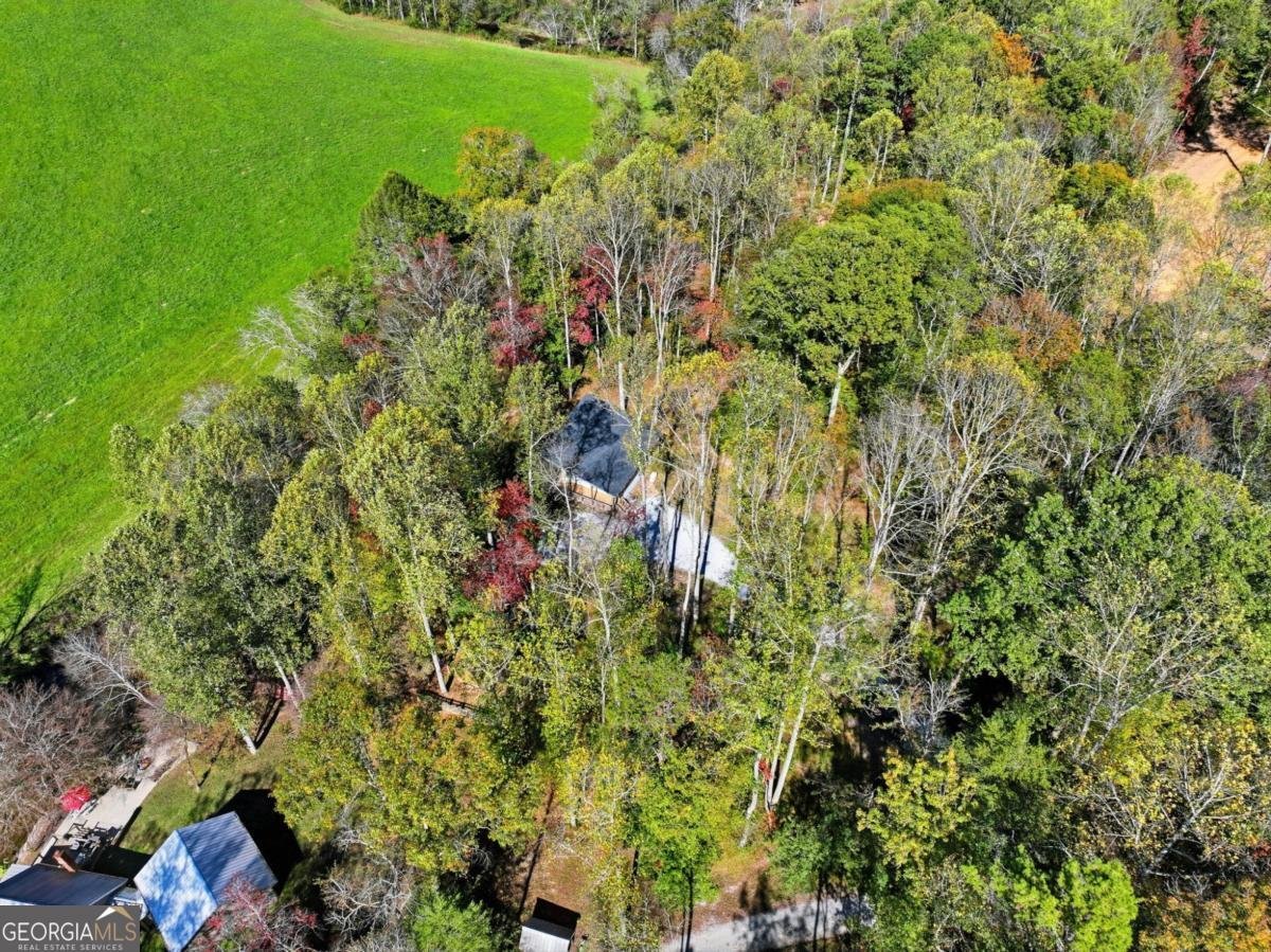 444 Weaver Road Ellijay - 29