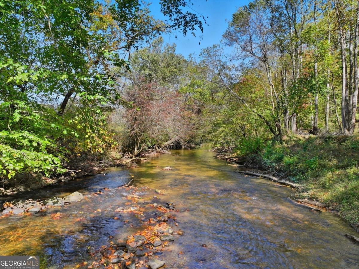 444 Weaver Road Ellijay - 3