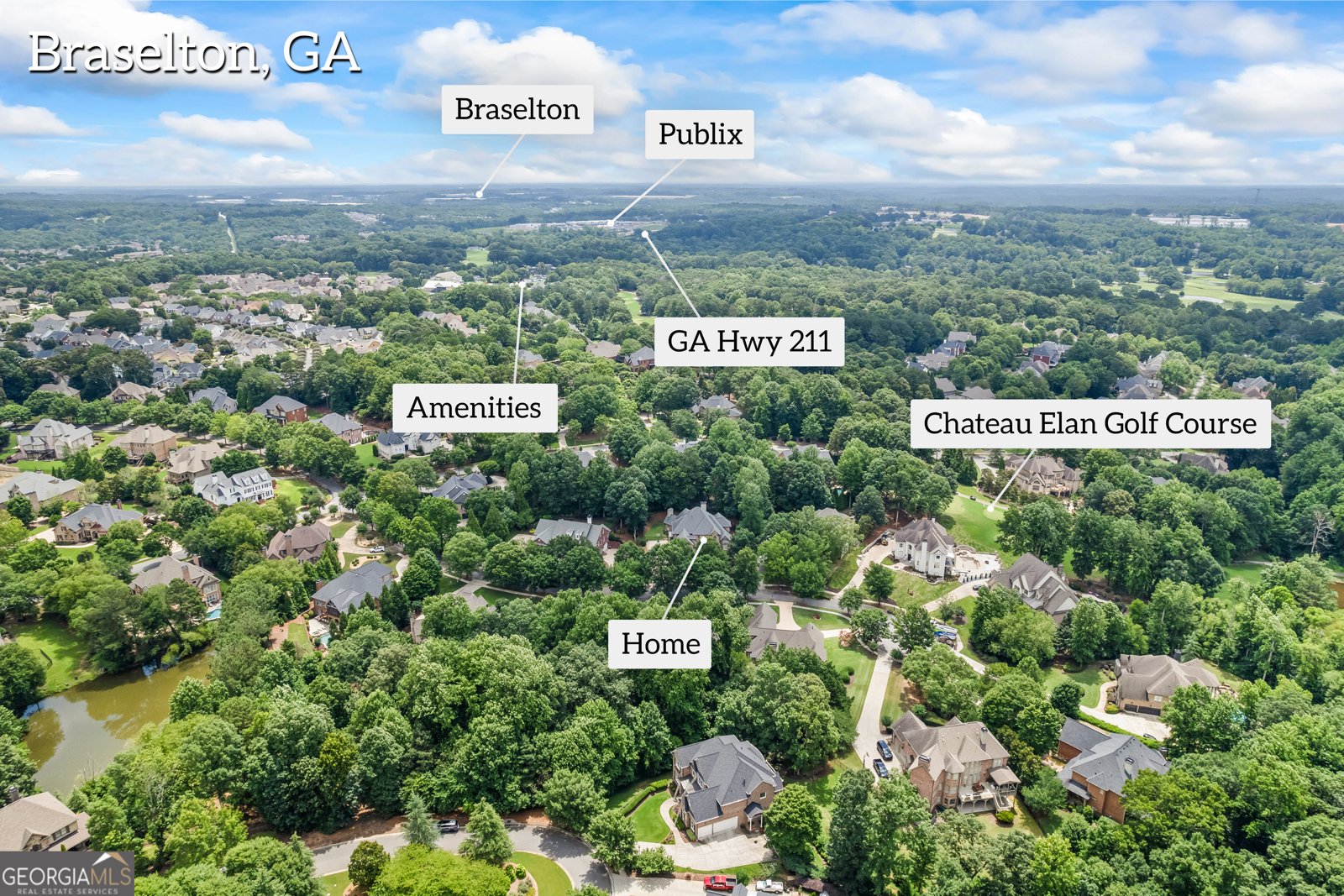 2505 Shumard Oak Drive Braselton - 1
