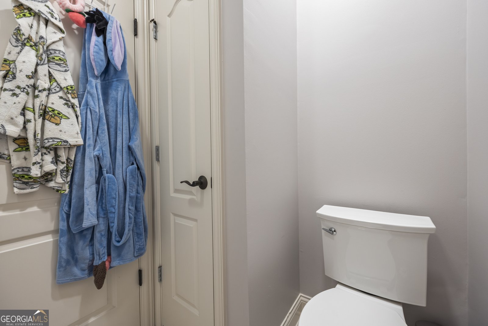 2505 Shumard Oak Drive Braselton - 44