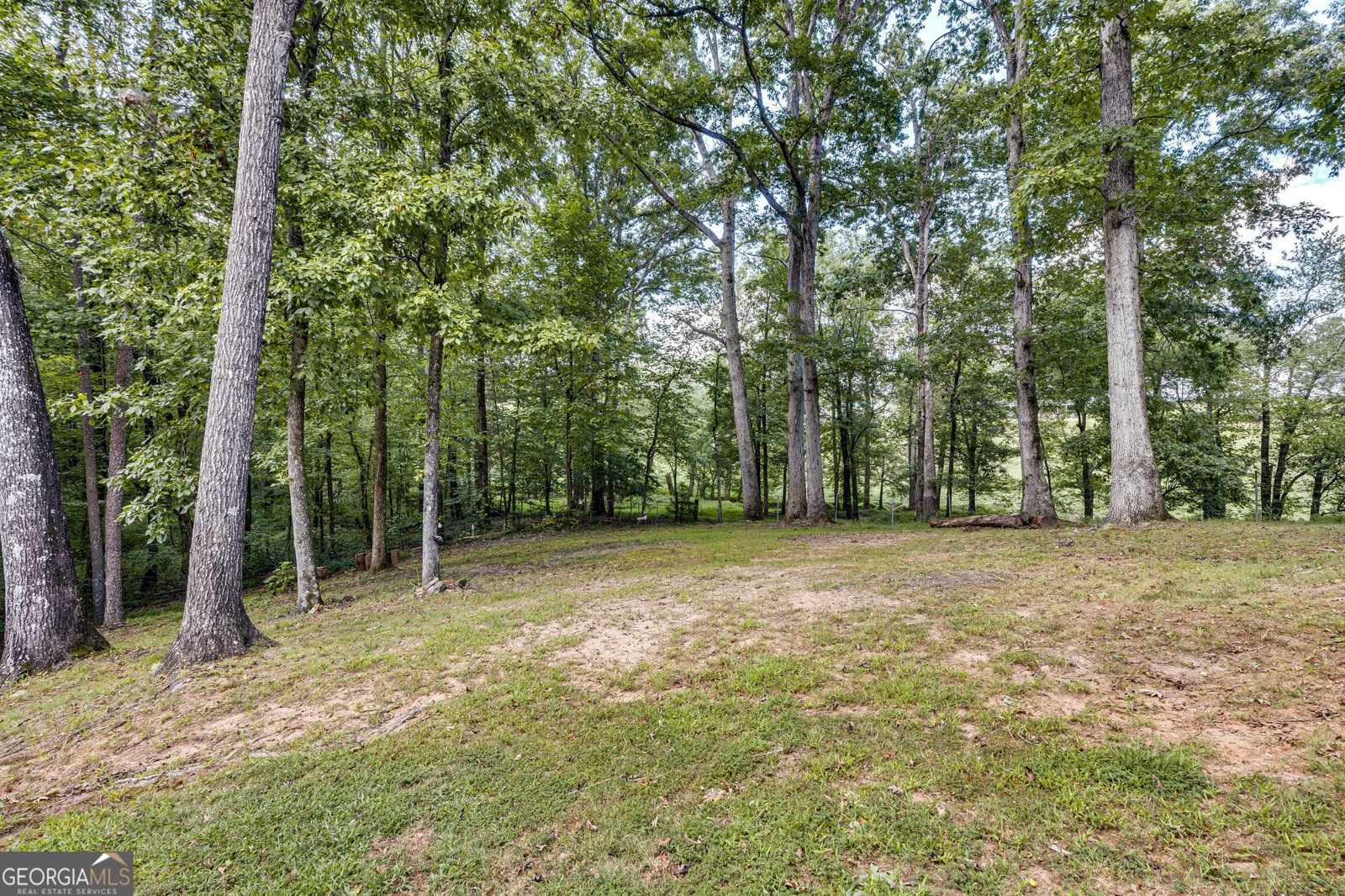 6310 Green Mountain Lane Clermont - 58