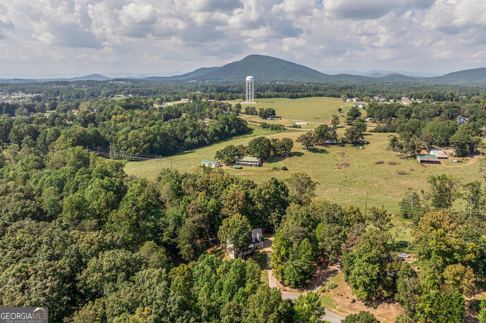 6310 Green Mountain Lane Clermont - 60