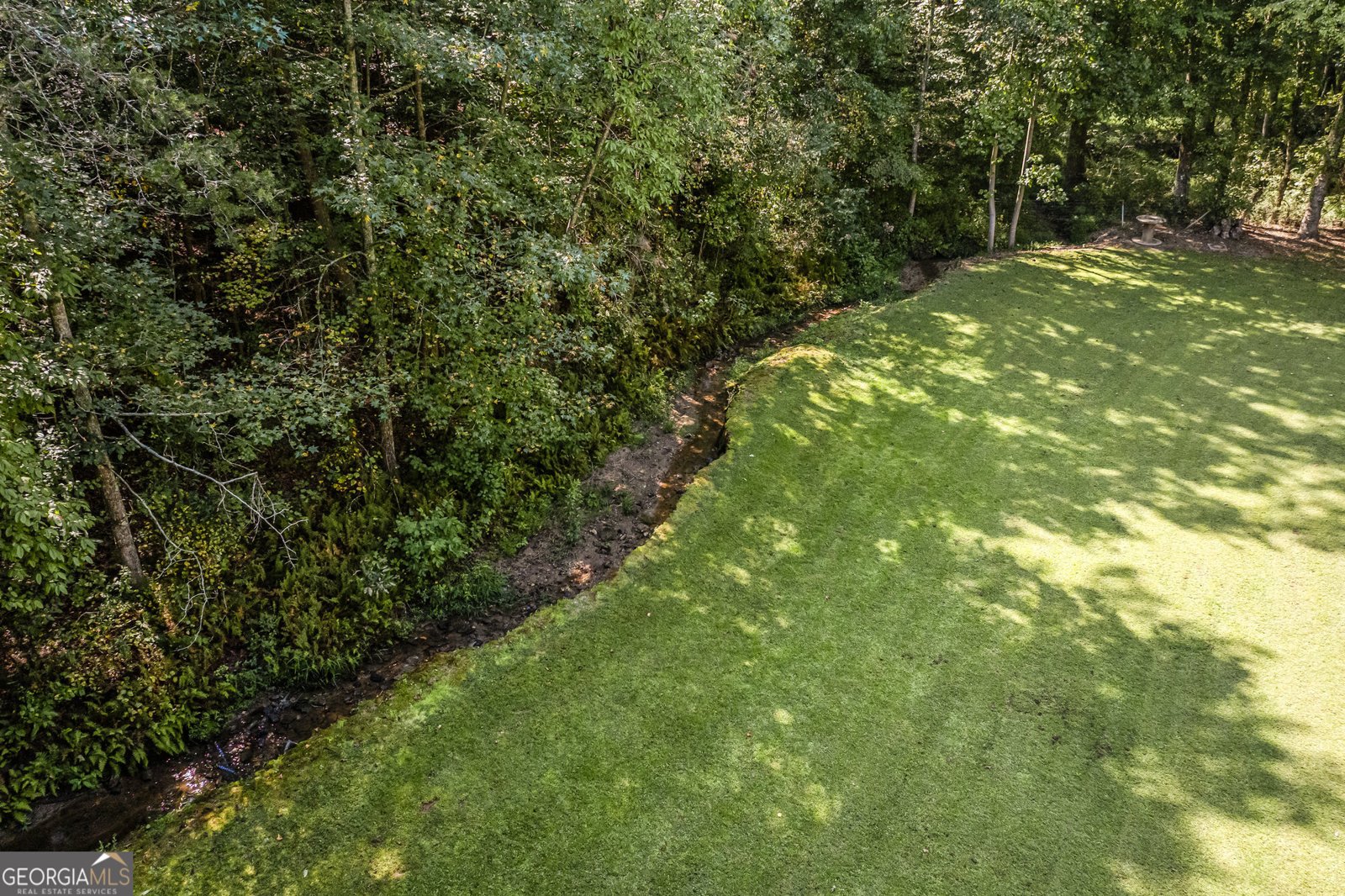 6310 Green Mountain Lane Clermont - 61