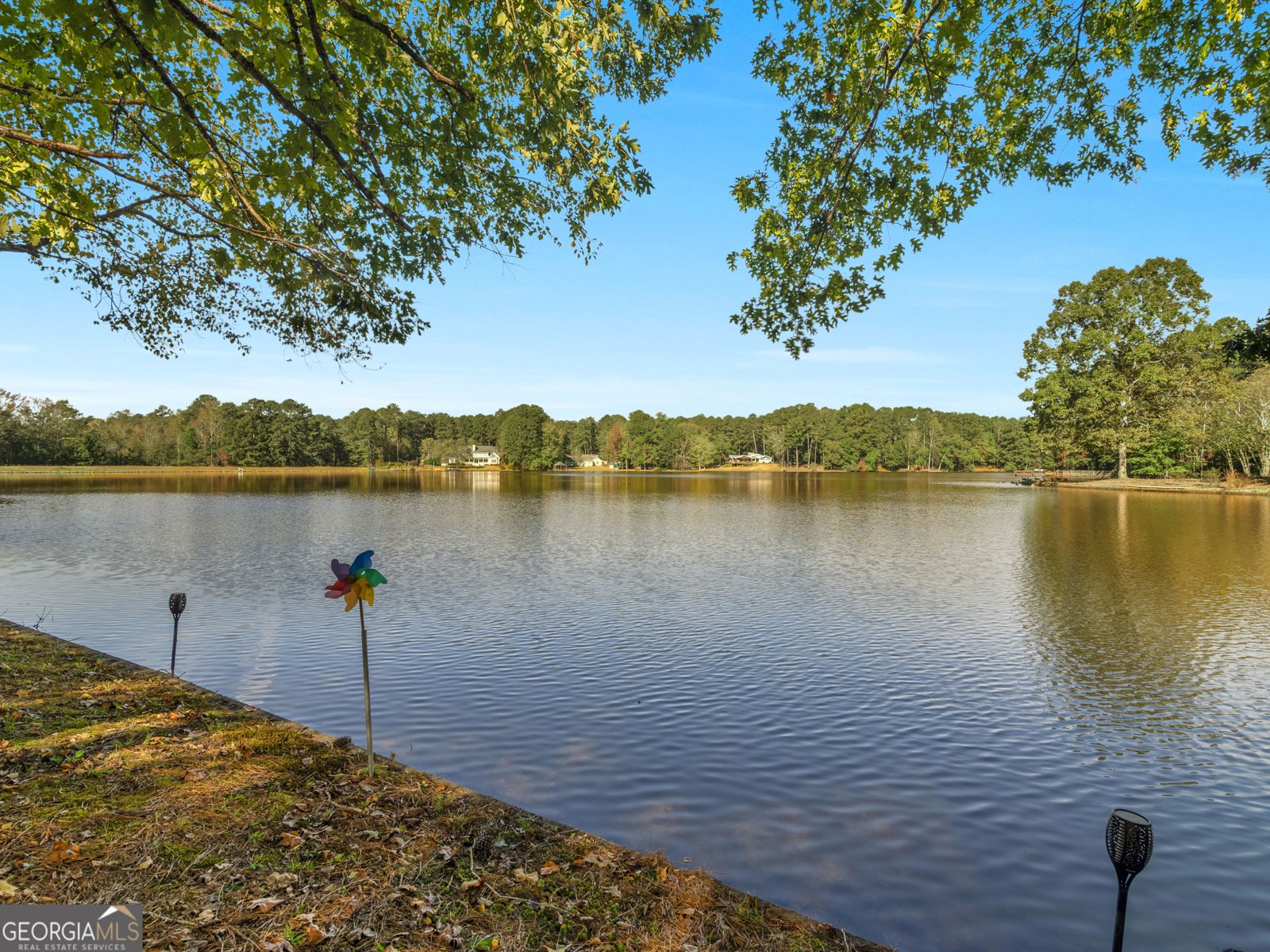 1220 Lake Stone Lea Drive Oxford - 1