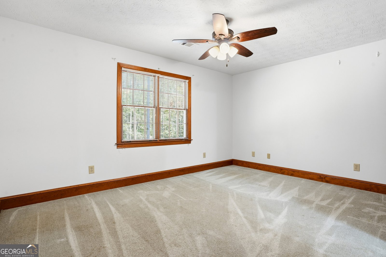 735 Chambers Road McDonough - 17