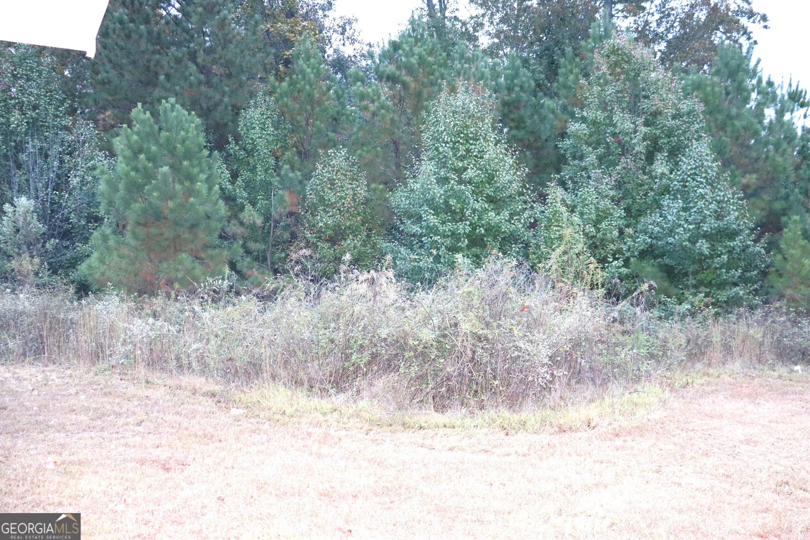 1188 To Lani Path Stone Mountain - 57