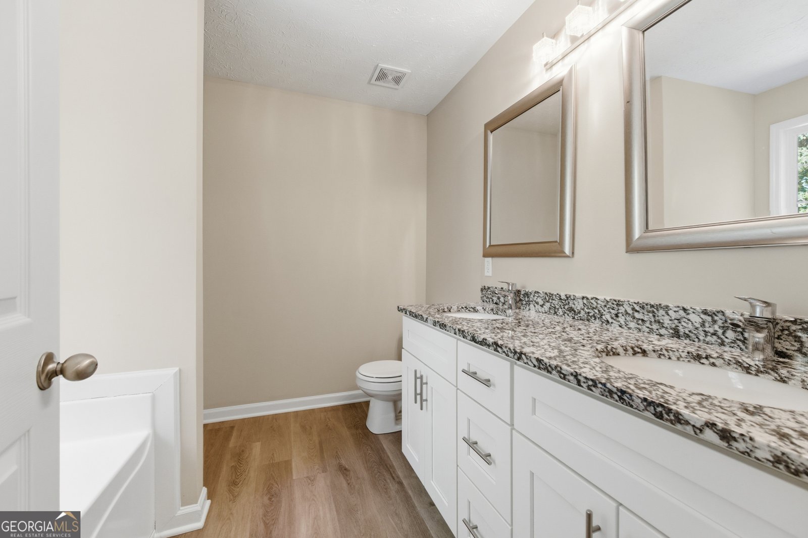 1730 Alcovy River Drive Dacula - 18