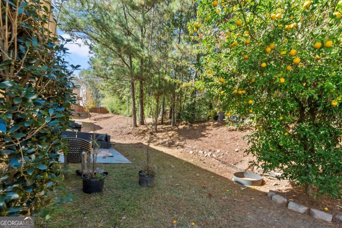 3515 River Summit Trail Duluth - 35