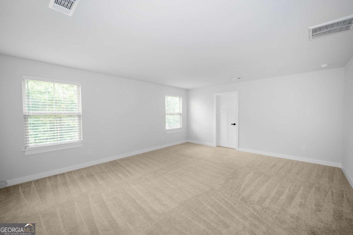 533 Daffodil Lane Mcdonough - 3