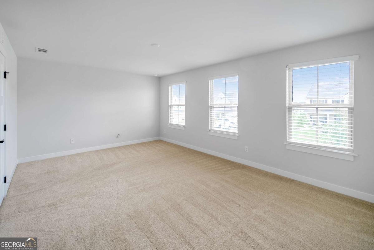 533 Daffodil Lane Mcdonough - 7