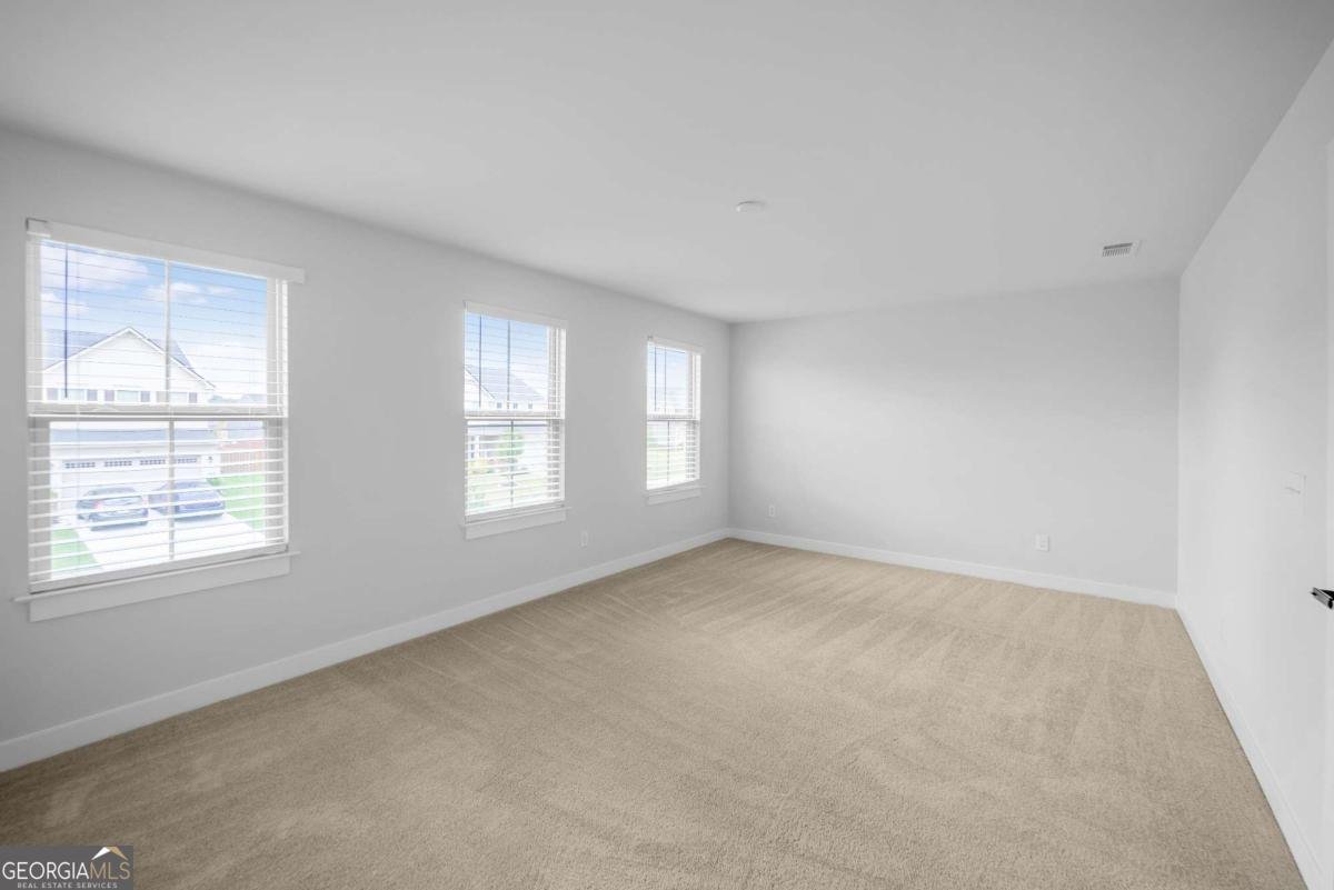 533 Daffodil Lane Mcdonough - 8