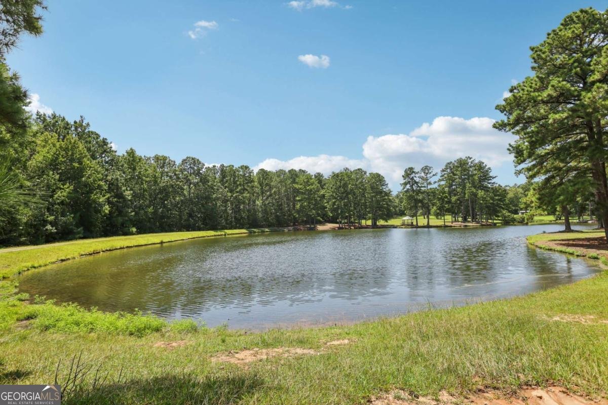 260 Ancient Oak Lane Newnan - 27