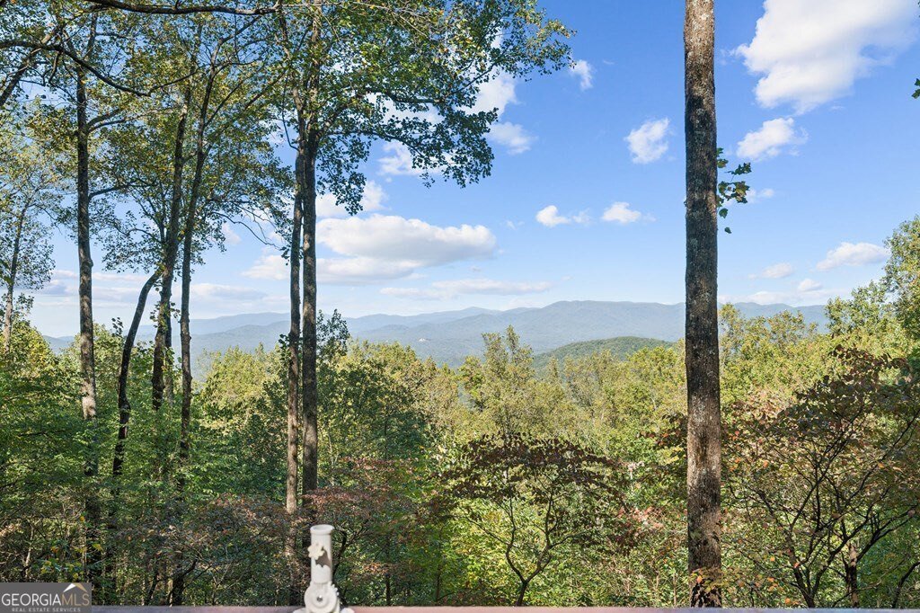 1225 Walnut Ridge Ellijay - 3