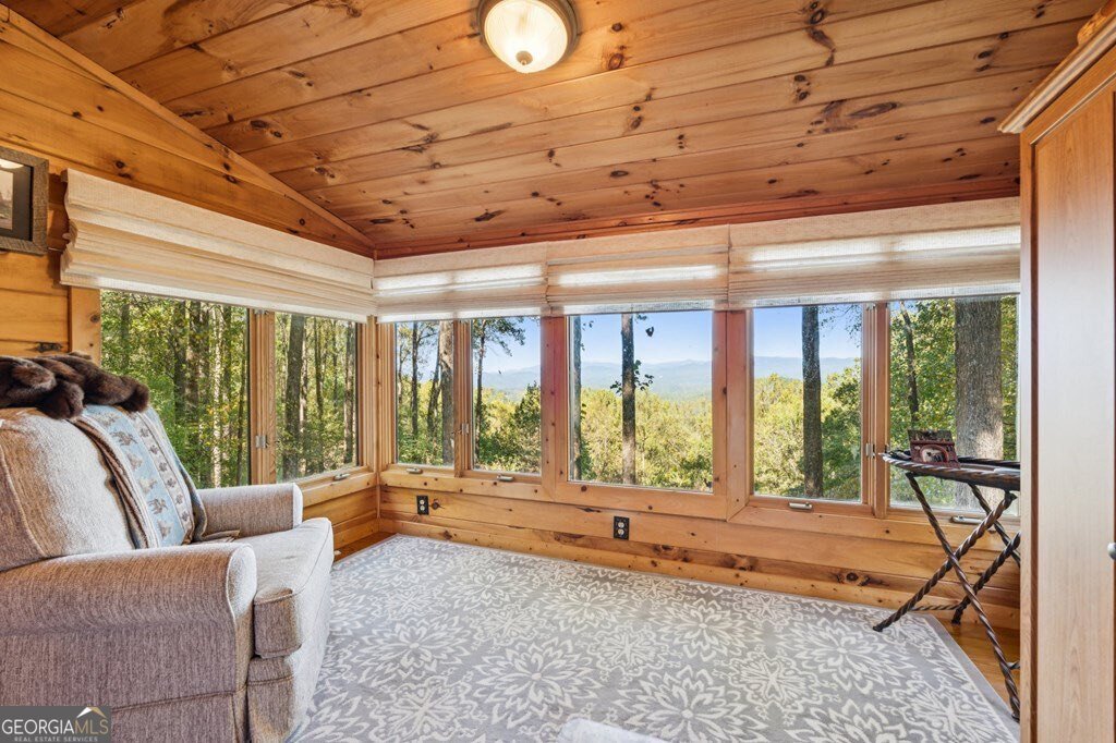 1225 Walnut Ridge Ellijay - 40