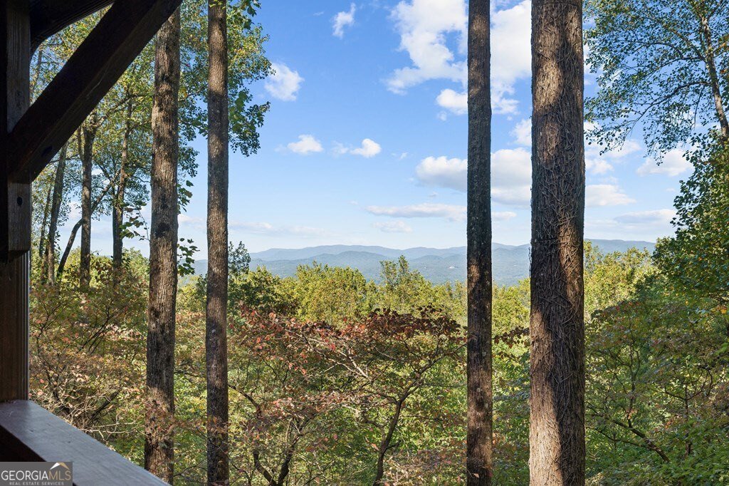 1225 Walnut Ridge Ellijay - 43