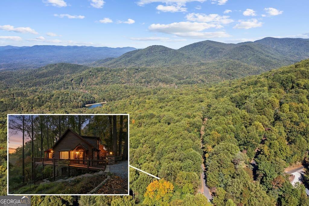 1225 Walnut Ridge Ellijay - 5