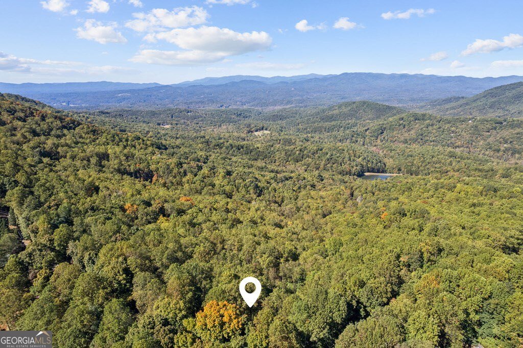 1225 Walnut Ridge Ellijay - 64