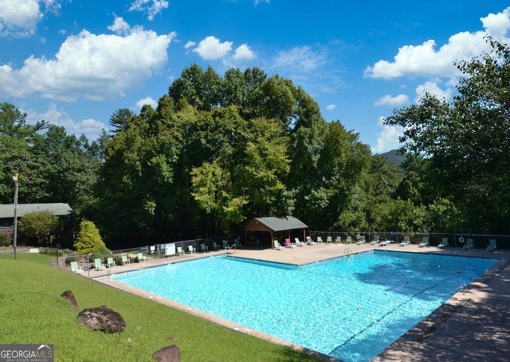 1225 Walnut Ridge Ellijay - 66