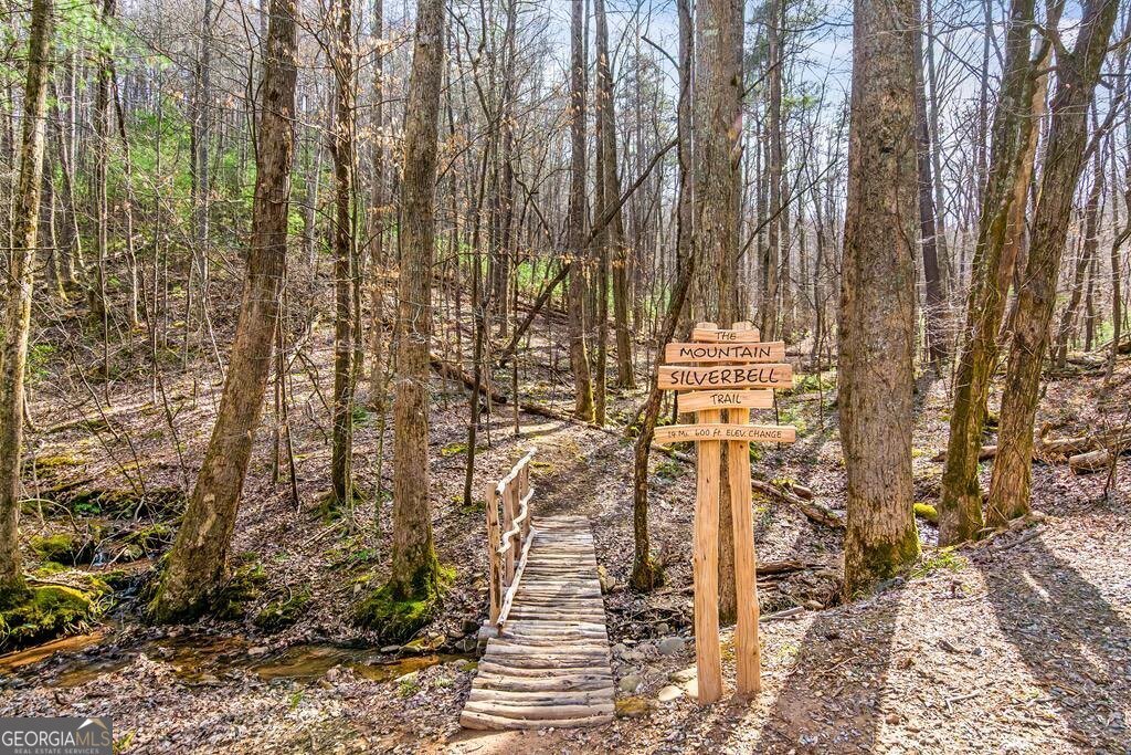 1225 Walnut Ridge Ellijay - 68