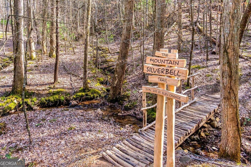 1225 Walnut Ridge Ellijay - 69