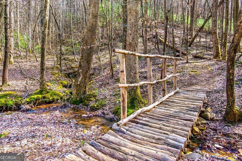 1225 Walnut Ridge Ellijay - 70