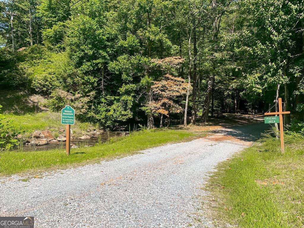 1225 Walnut Ridge Ellijay - 76