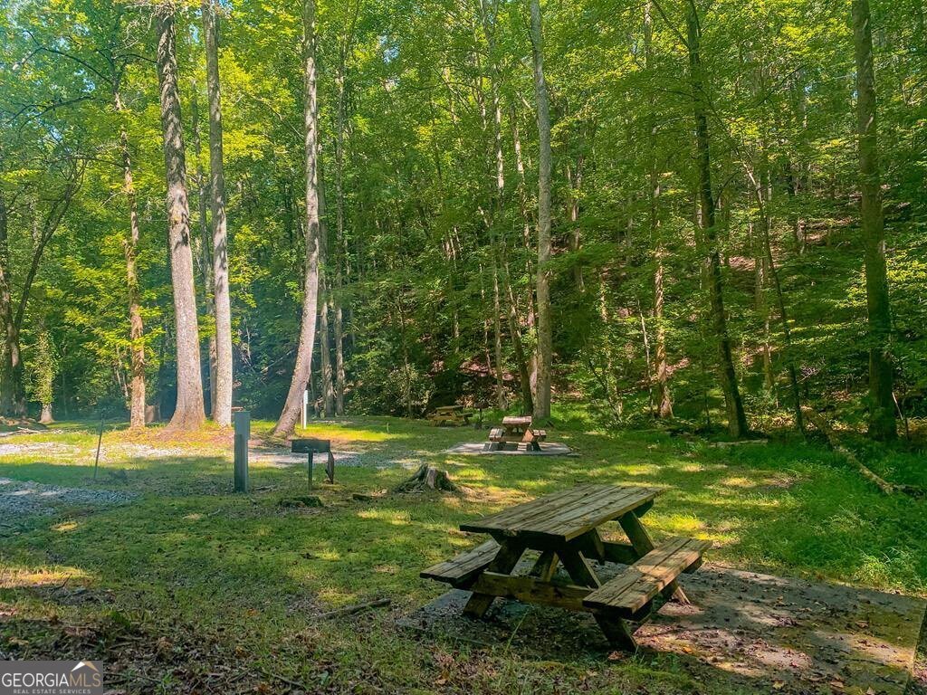 1225 Walnut Ridge Ellijay - 78
