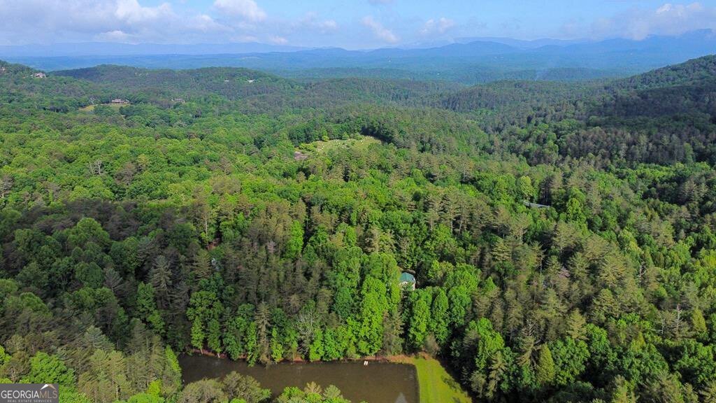 1225 Walnut Ridge Ellijay - 80