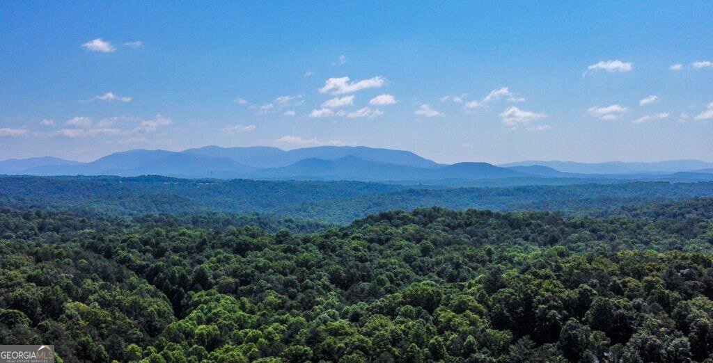 1225 Walnut Ridge Ellijay - 81