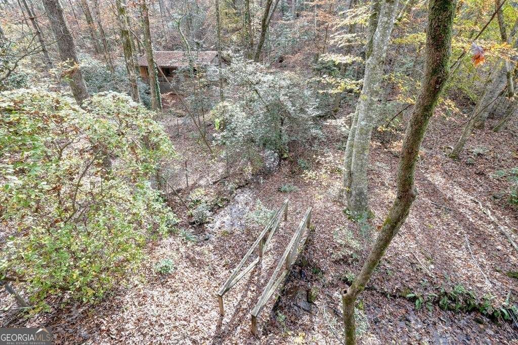 2479 Plum Orchard Road Clayton - 17