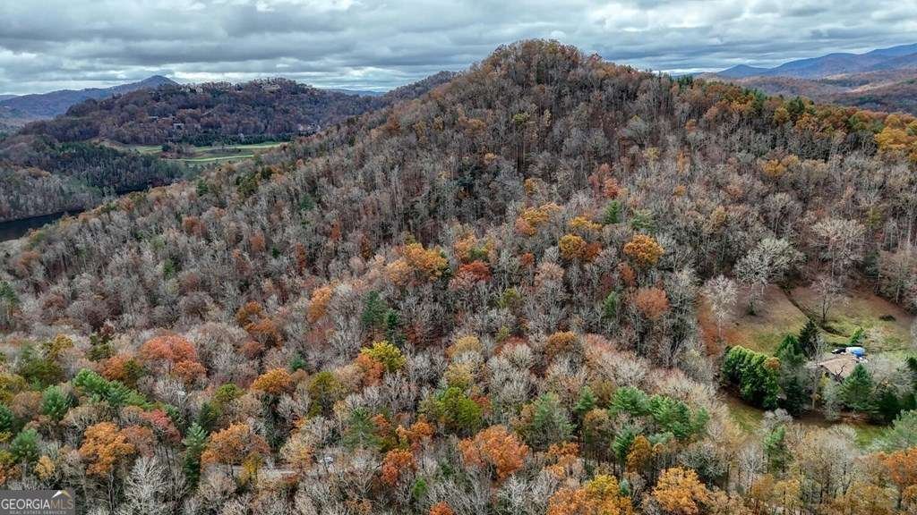 2479 Plum Orchard Road Clayton - 18