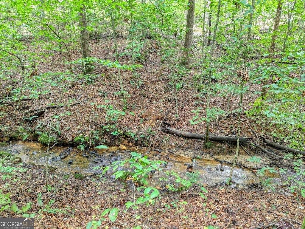 2479 Plum Orchard Road Clayton - 42